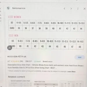 Ecco Shoes Ecco Offwhite Slipon Sneakers Gym Shoes Bungee Cord